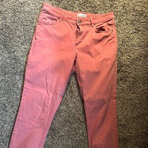Ann Taylor Loft Jeans